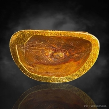 หลวงพ่อพูล วัดไผ่ล้อม เนื้อทองคำ