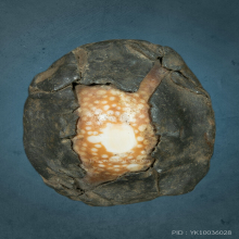 เบี้ยแก้สายบ้านมีดี คุณพ่อเที่ยง น่วมมานา 