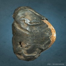 เบี้ยแก้สายบ้านมีดี คุณพ่อเที่ยง น่วมมานา 