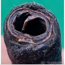 ตะกรุดเนื้อทองแดงเก่าพอสมควร ยาว 3.5 นิ้ว