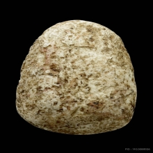 พระวัดพลับพิมพ์พุงป่องใหญ่