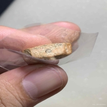 หลวงพ่อปาน ครุฑกำหมัดปีกโค้งA