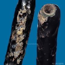  ๙ “แชมป์สามพราน+ดารา 3 เล่ม” ตะกรุดหลวงปู่เอี่ยม สะพานสูง ๙