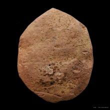 พระนาคปรก เนื้อดินละเอียดผสมผงว่าน กรุ วัดเจดีย์ราย