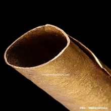 ตะกรุดโพธิ์กลับ หลวงพ่ออั๊บ วัดท้องไทร ปี2549 เนื้อทองคำ