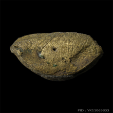 หลวงพ่ออ๋อย วัดไทร