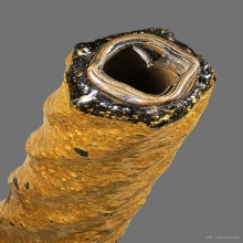 ตะกรุดนเรศวรปราบหงสา หลวงปู่หมุน รุ่นไตรมาสชนะมาร ปี2544