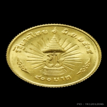 เหรียญ ร.9 คลองราช 25 ปี