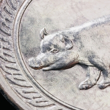 เหรียญนามปีกุน เนื้อเงิน สวยมากระดับประกวด