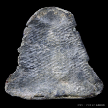 พระนางพญา เนื้อตะกั่วสนิมแดง กรุวัดหัวเมือง จ.นครสวรรค์