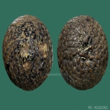 ลูกอมหลวงพ่อปลอด วัดในปากทะเล