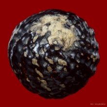 ลูกอมมหากัณฑ์หลวงพ่อคง