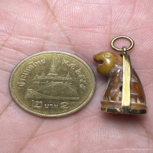 เสือวัดบางเหี้ย