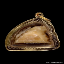 เสือหลวงพ่อหมุน วัดเขาแดงตะวันออก จ.พัทลุง