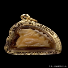 เสือหลวงพ่อหมุน วัดเขาแดงตะวันออก จ.พัทลุง