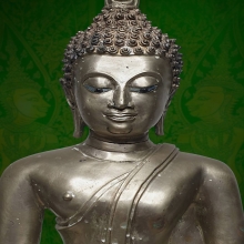 รัชกาล เนื้ออัลปาก้า 