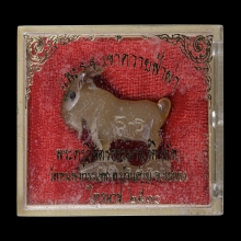 แพะหลวงพ่อลัด วัดหนองกระบอก ( ตัวจริง )