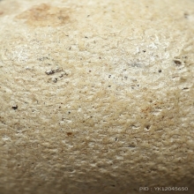 ลูกอมลพ.คง วัดบางกระพ้อม