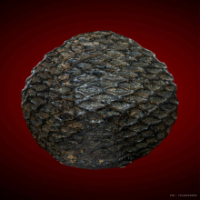 เบี้ยแก้ไข่ทอง หลวงปู่รอด วัดนายโรง