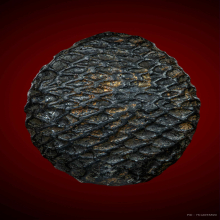 เบี้ยแก้ไข่ทอง หลวงปู่รอด วัดนายโรง