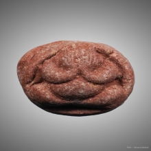 พระปิดตาว่านสบู่เลือด พ่อท่านคลิ้ง วัดถลุงทอง