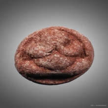 พระปิดตาว่านสบู่เลือด พ่อท่านคลิ้ง 