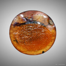 ล็อกเก็ต พ่อท่านเขียว ปี2528