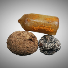 ชานหมาก เทียนชัย พ่อท่านเขียว