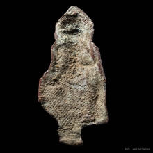 พระร่วงยืนกรุราชเดชะ สนิมแดง