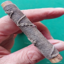 หวายอาคมอุดชันโรง ยาวประมาณ 2.5 นิ้ว