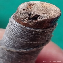 หวายอาคมอุดชันโรง ยาวประมาณ 2.5 นิ้ว