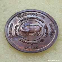 เหรียญกลมหลังหมู หลวงพ่อเปิ่น วัดบางพระ ปี 38