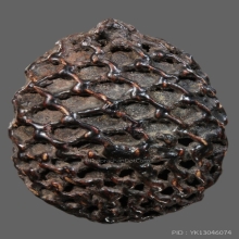 เบี้ยแก้หลวงปู่รอด วัดนายโรง