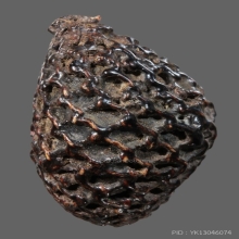 เบี้ยแก้หลวงปู่รอด วัดนายโรง