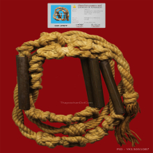 ตะกรุดพระเจ้า5พระองค์หลวงพ่อเต๋วัดสามง่ามนครปฐม