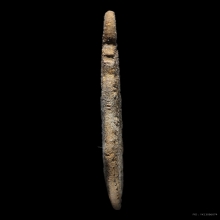 ราหูอมจันทร์