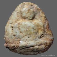 พระวัดพลับ