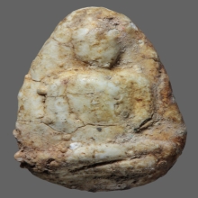 พระวัดพลับ