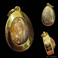 เบี้ยแก้...ทองคำ หลวงปู่เจือ วัดกลางบางแก้ว สวยเดิมครับ