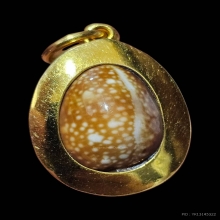 เบี้ยแก้...ทองคำ หลวงปู่เจือ วัดกลางบางแก้ว สวยเดิมครับ