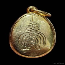 เบี้ยแก้...ทองคำ หลวงปู่เจือ วัดกลางบางแก้ว สวยเดิมครับ