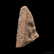 พระนางพญา กรุโรงทอ จ.พิษณุโลก พิมพ์ไม่มีหู