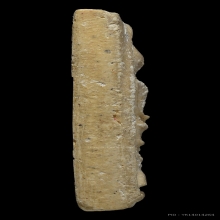 สมเด็จวัดระฆัง 100 ปี พิมพ์เส้นด้ายเล็ก คัดสภาพสวย (1)