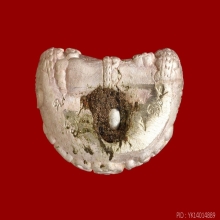 เทวดาน้อยพระอาจารย์ต้อม วัดท่าสะแบง เนื้อเงิน