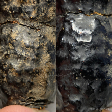 เครื่องรางแปลก ลงรักเก่า