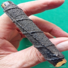 ตะกรุดไม้รวก ยาวเกือบ 3 นิ้ว