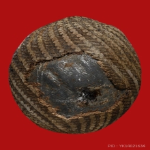 เบี้ยแก้หลวงปู่รอดวัดนายโรง