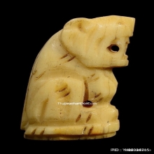 เสืองาแกะหลวงพ่อเปิ่น วัดบางพระ จ.นครปฐม