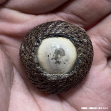 1ในสุดยอดเบญจภาคีเบี้ยแก้ เบี้ยแก้หลวงพ่อภักตร์ วัดโบสถ์