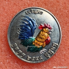 เหรียญเจริญพร หลวงปู่สรวง วัดถ้ำพรหมสวัสดิ์ ปี 55